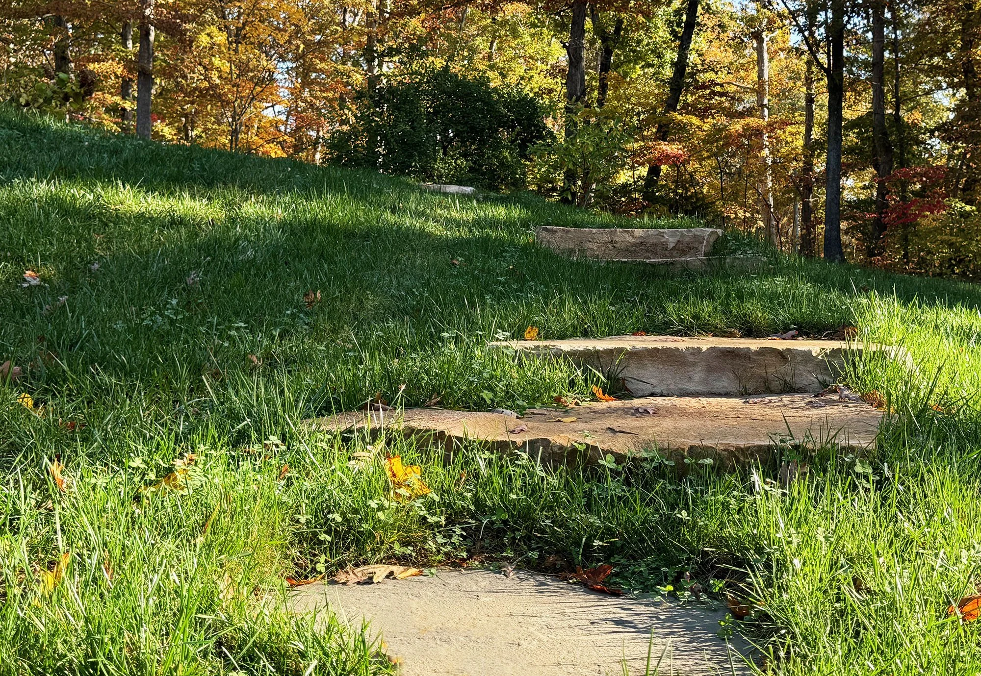 Albemarle-County-Farm-Dabney-Studio-Steps.jpg