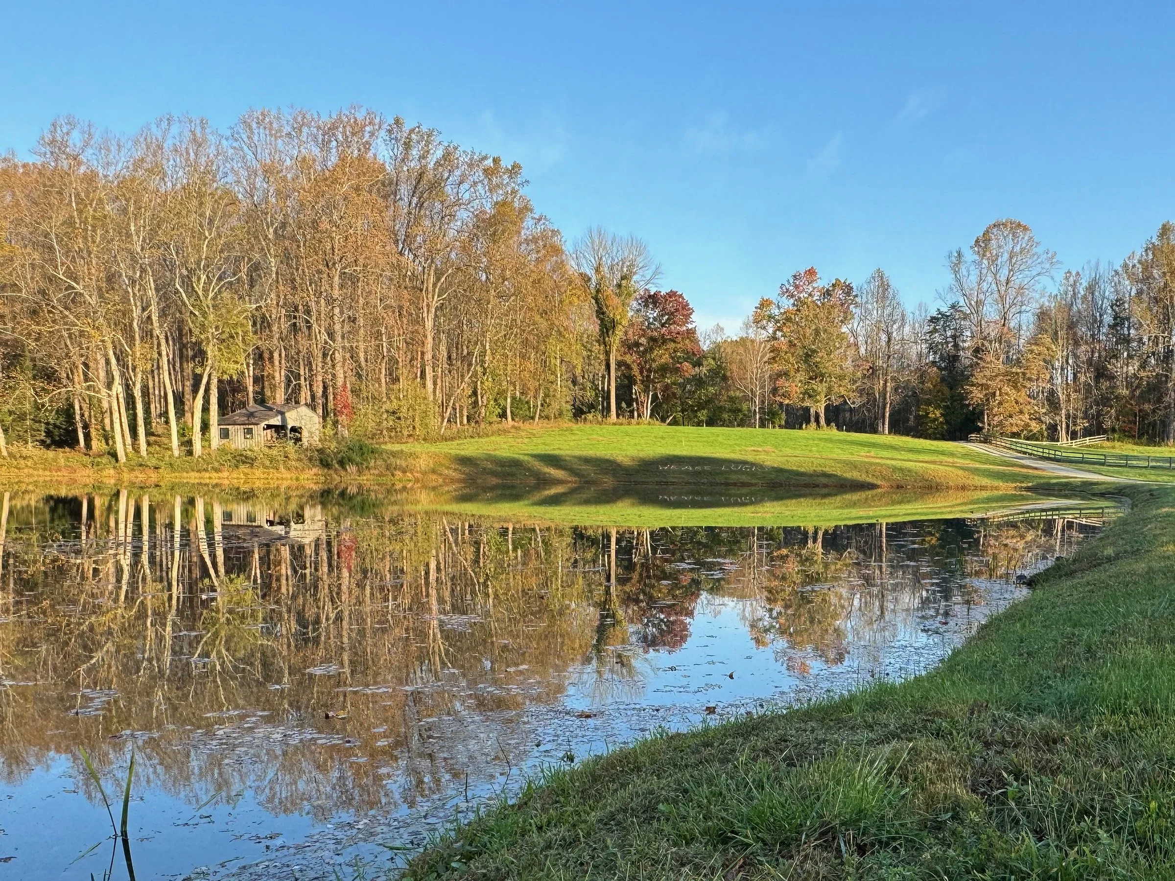 Albemarle-County-Farm-Dabney-Studio-Pond.jpg