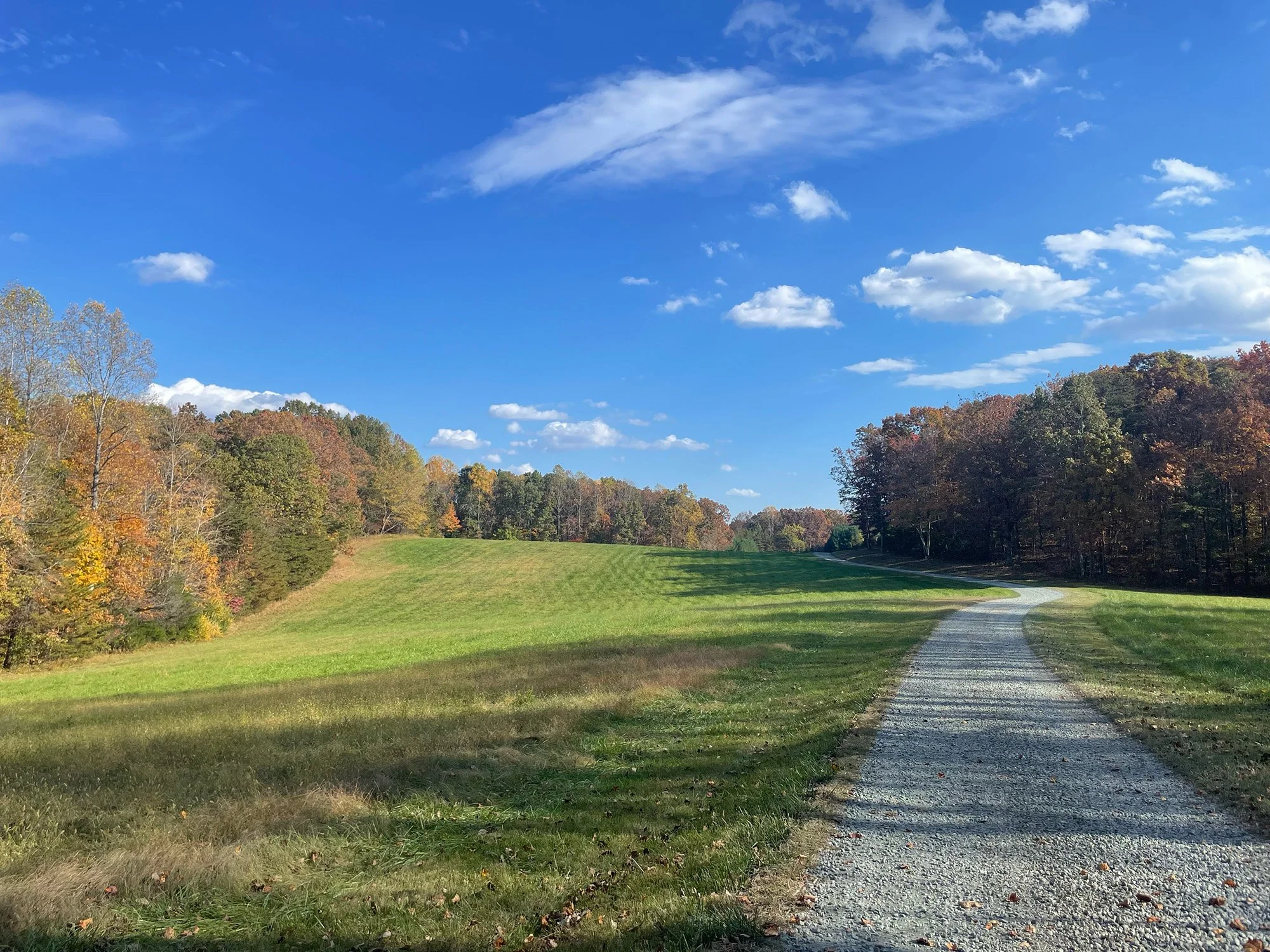 Deer Ridge Farm Farm 2 Road Dabney Studio.jpg