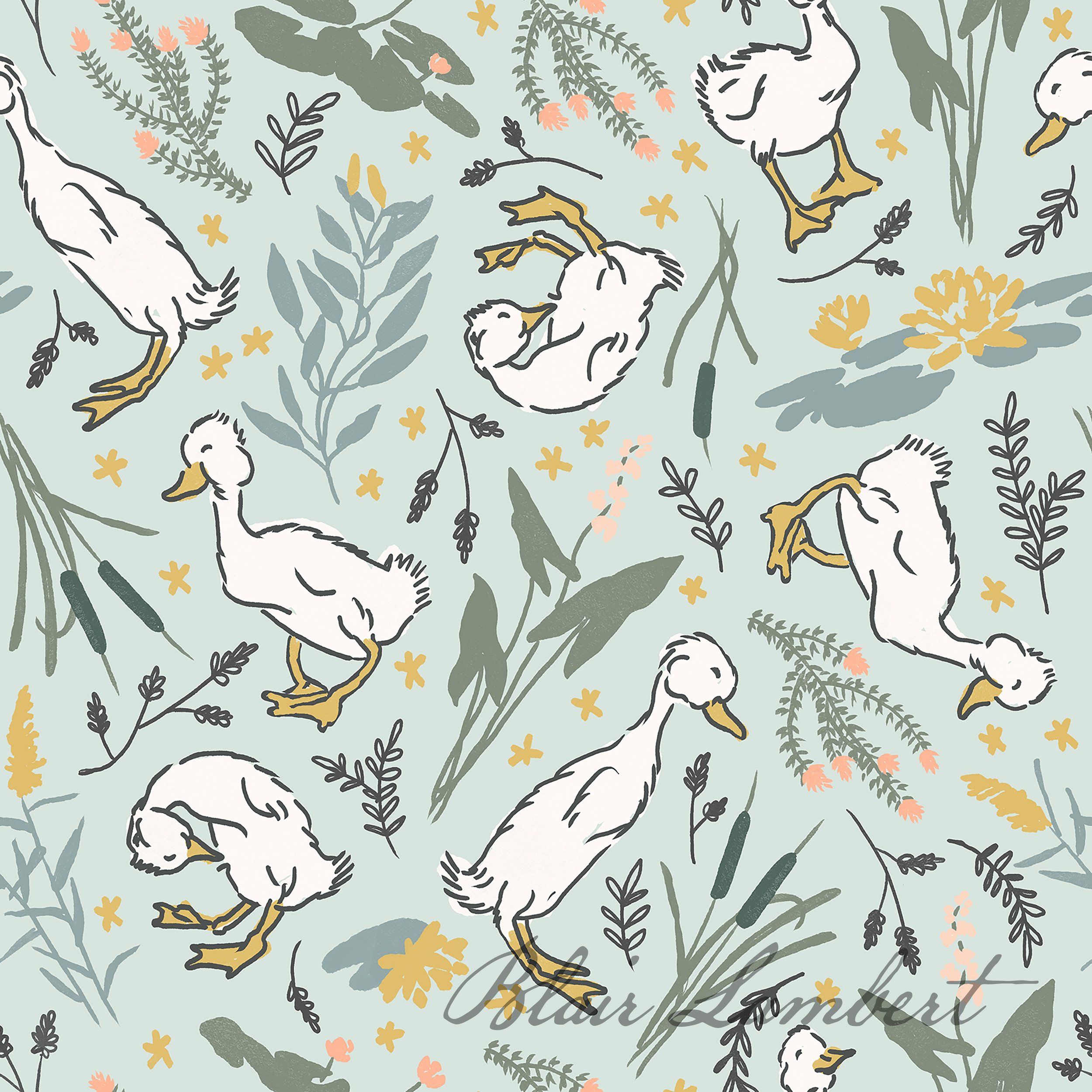 Blair Lambert_ducklings in the rain watermarked.jpg