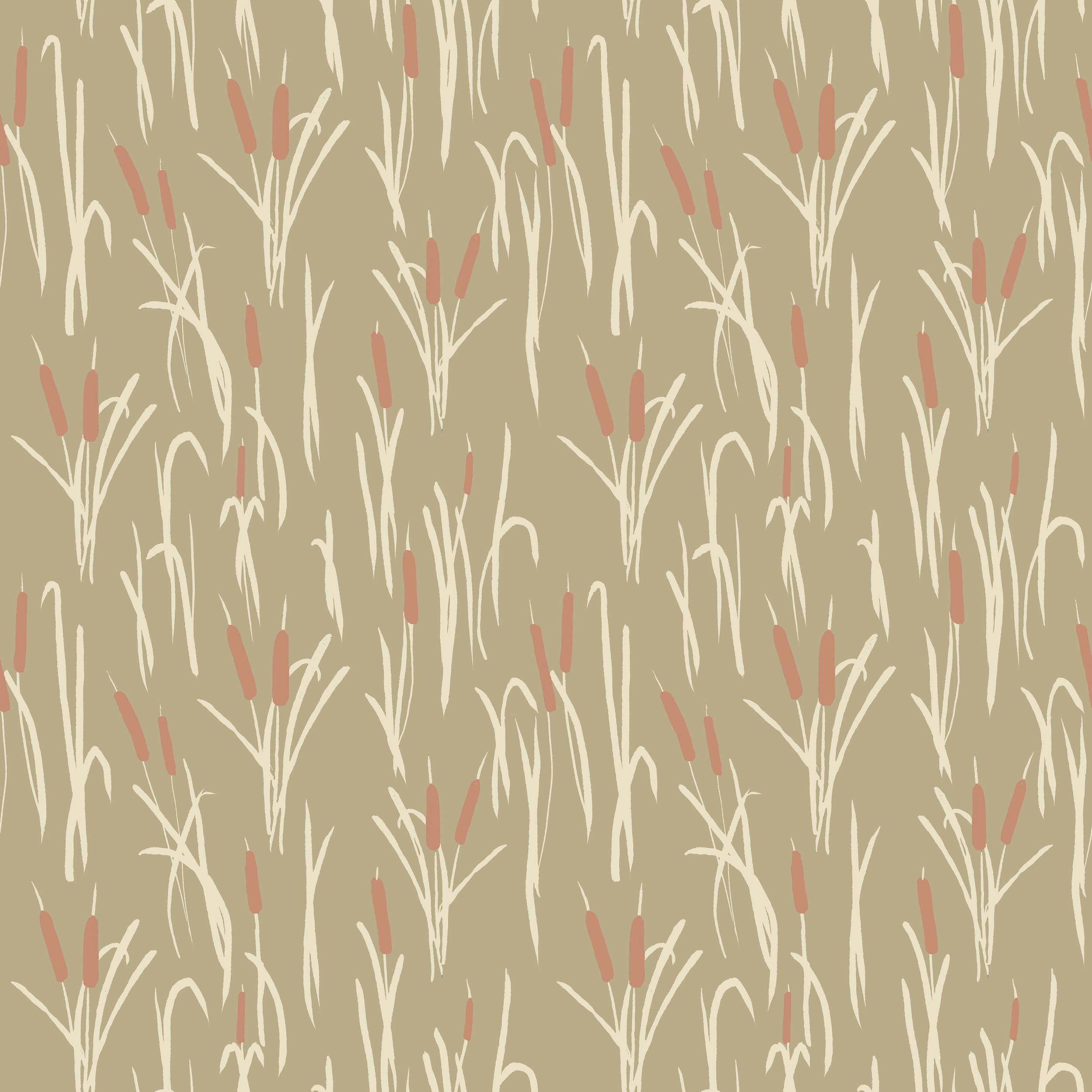 Blair Lambert_cattails_autumn copy.jpg