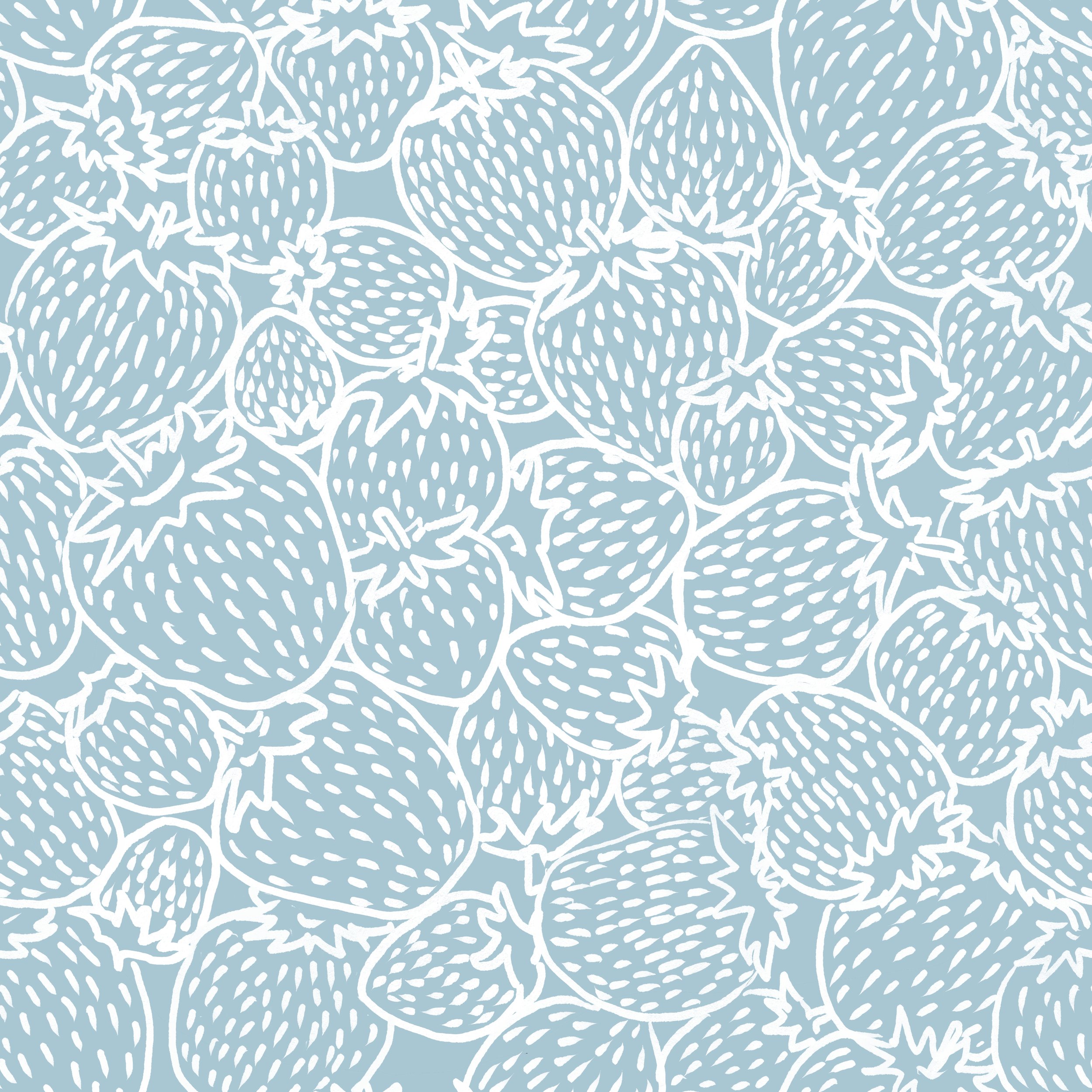 starberryoutline copy.jpg