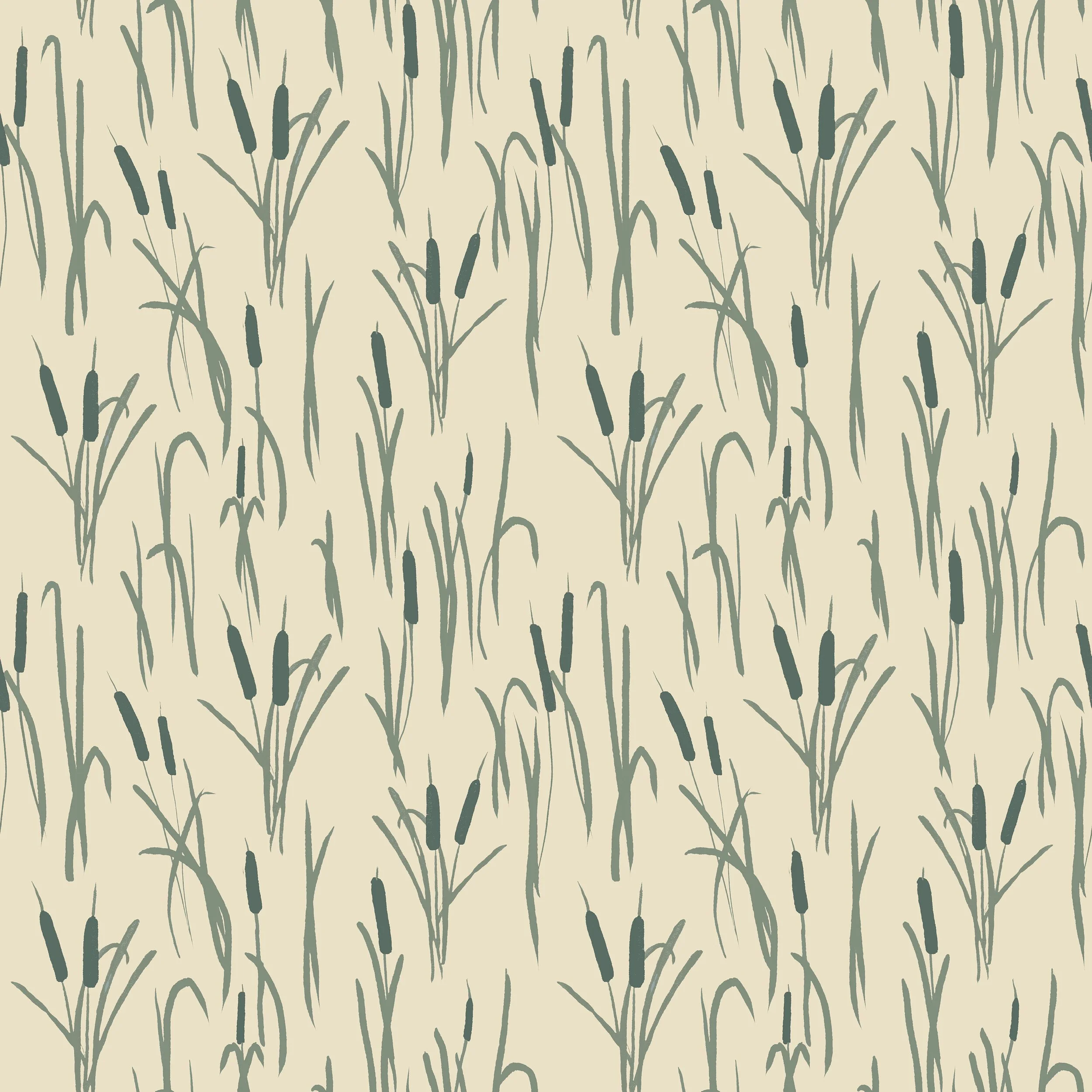 Blair Lambert_cattails_spring copy.jpg