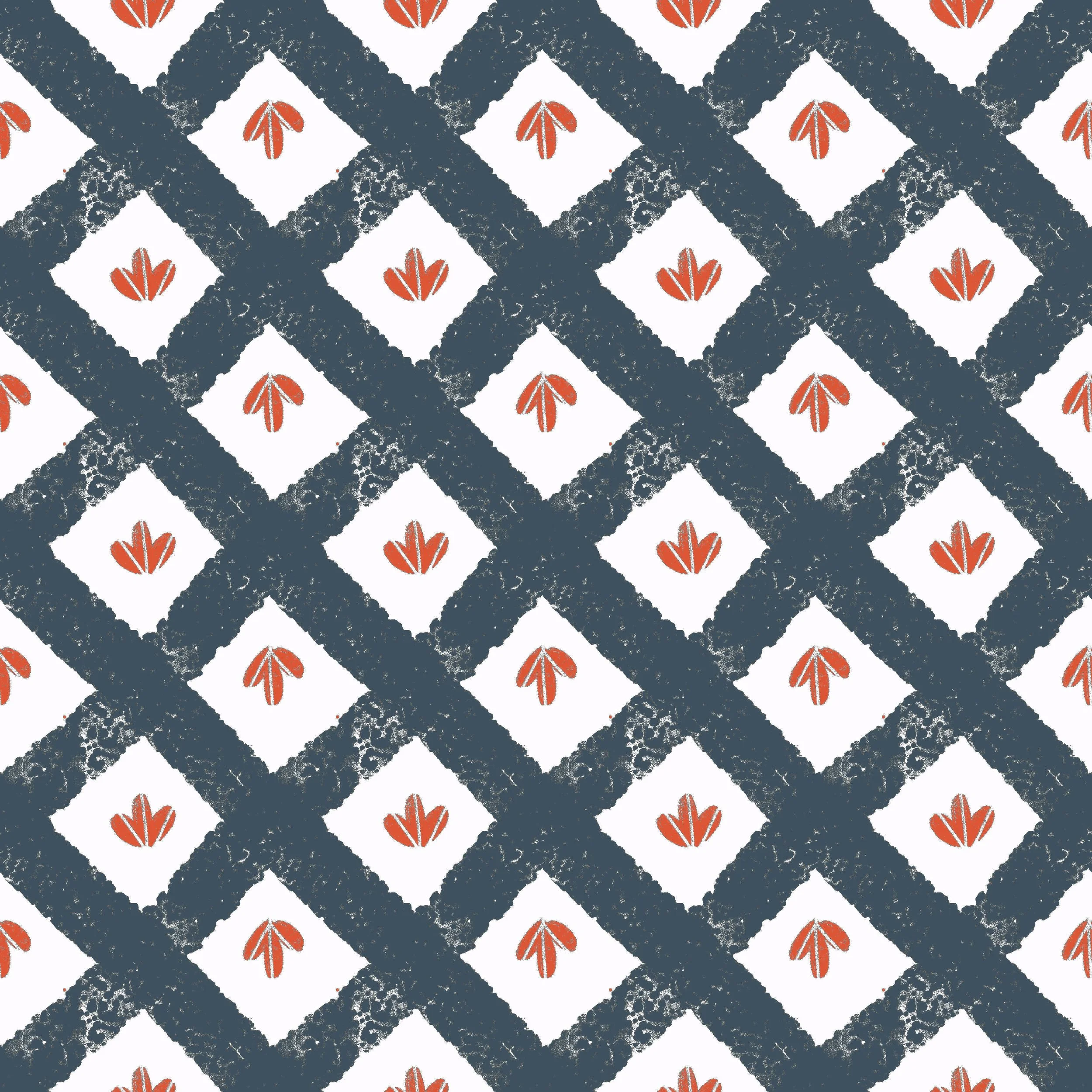 diagonal red blue copy.jpg