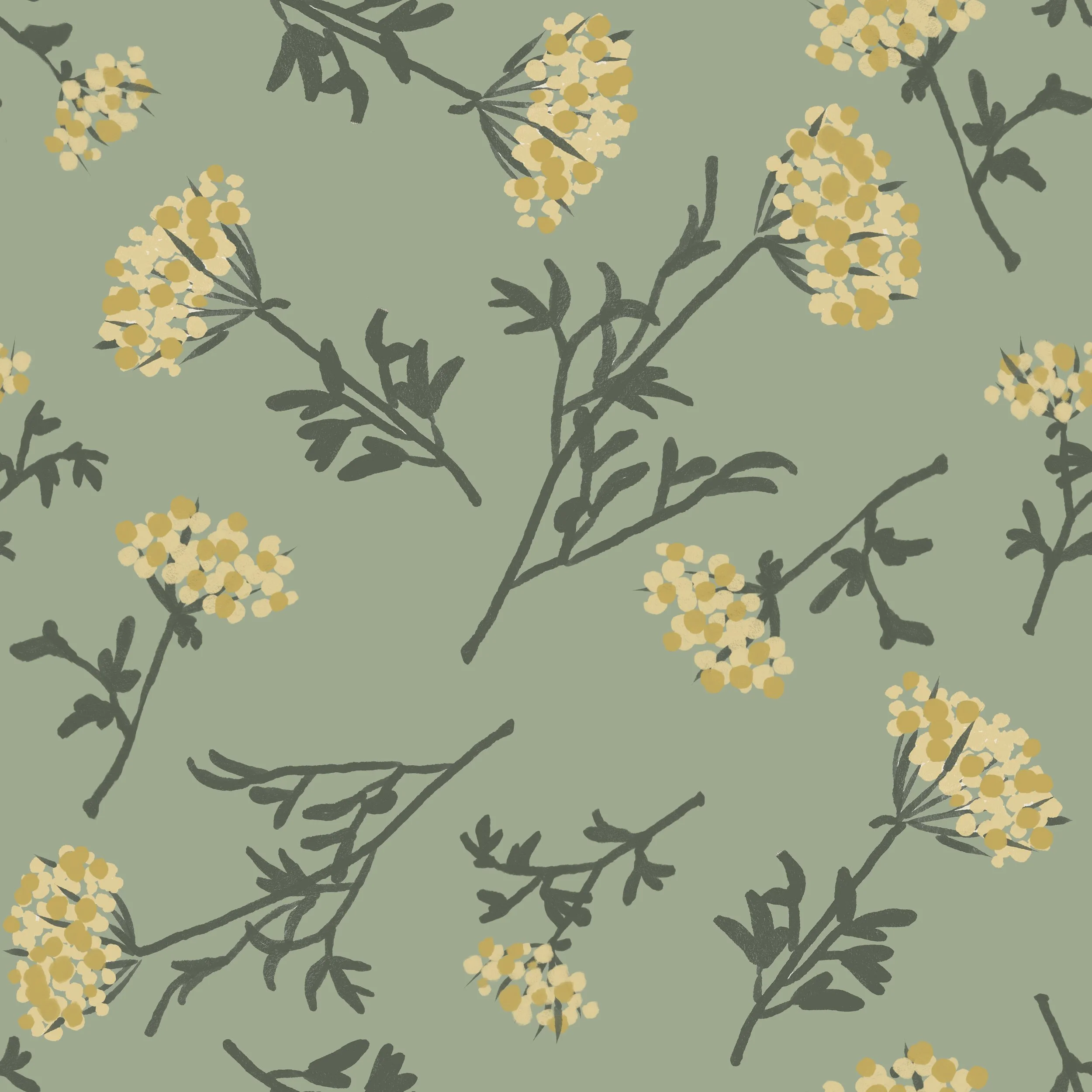 hedgehog queen anns lace copy.jpg