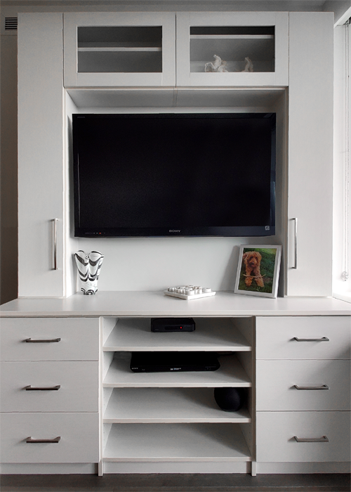 Custom entertainment unit