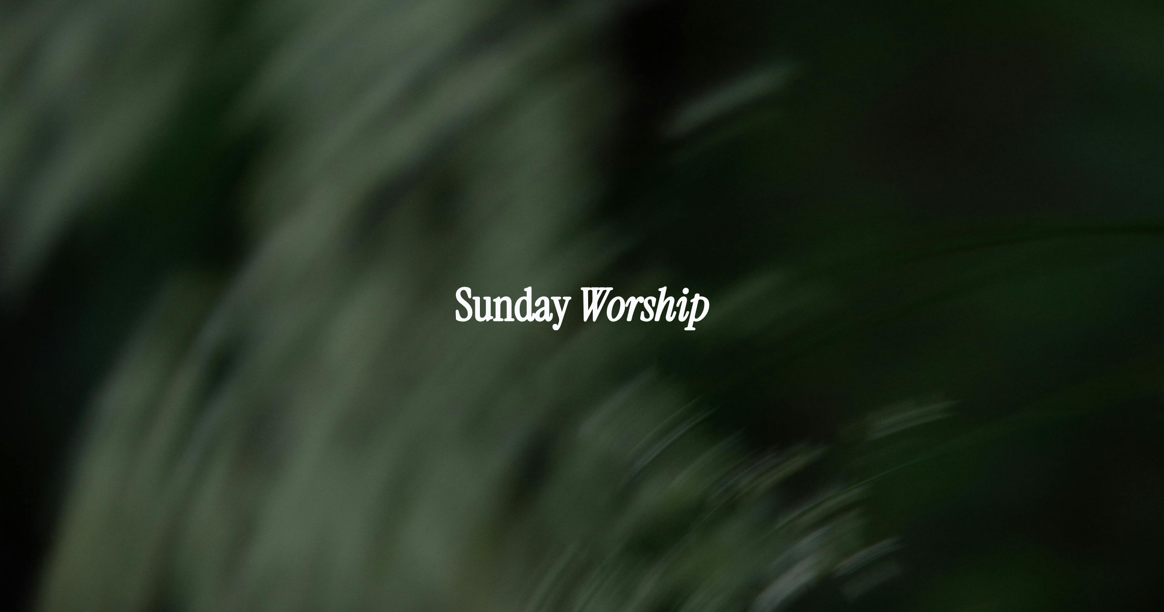 Sunday Worship!