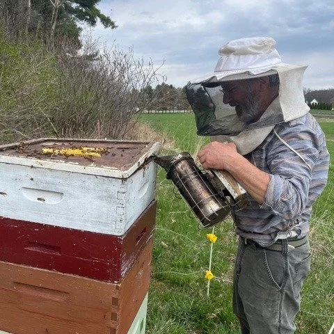 Six out six hives in Ferrisburgh made it through the winter. This is very exciting considering that around 60% of the bees across the country died this winter. Our work to raise queen bees from survivors and naturally breed strong bees to thrive in V