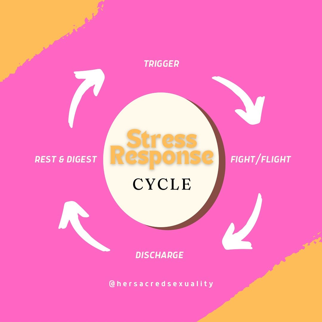 Dr. Peter Levine developed what he calls the Stress Response Cycle.  This gives us a clear view of the natural cycle of how we can process trauma and triggers. 

@alikates.co talks about this in our most recent episode on the podcast.  Ep.52 You Can&