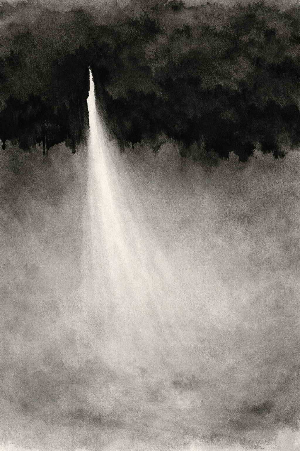 Light Breaks Through Canopy