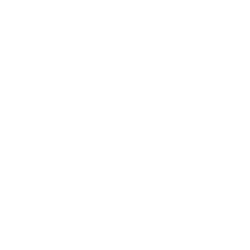 Texas Lyceum.png