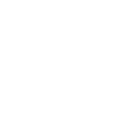 ACLU TX.png