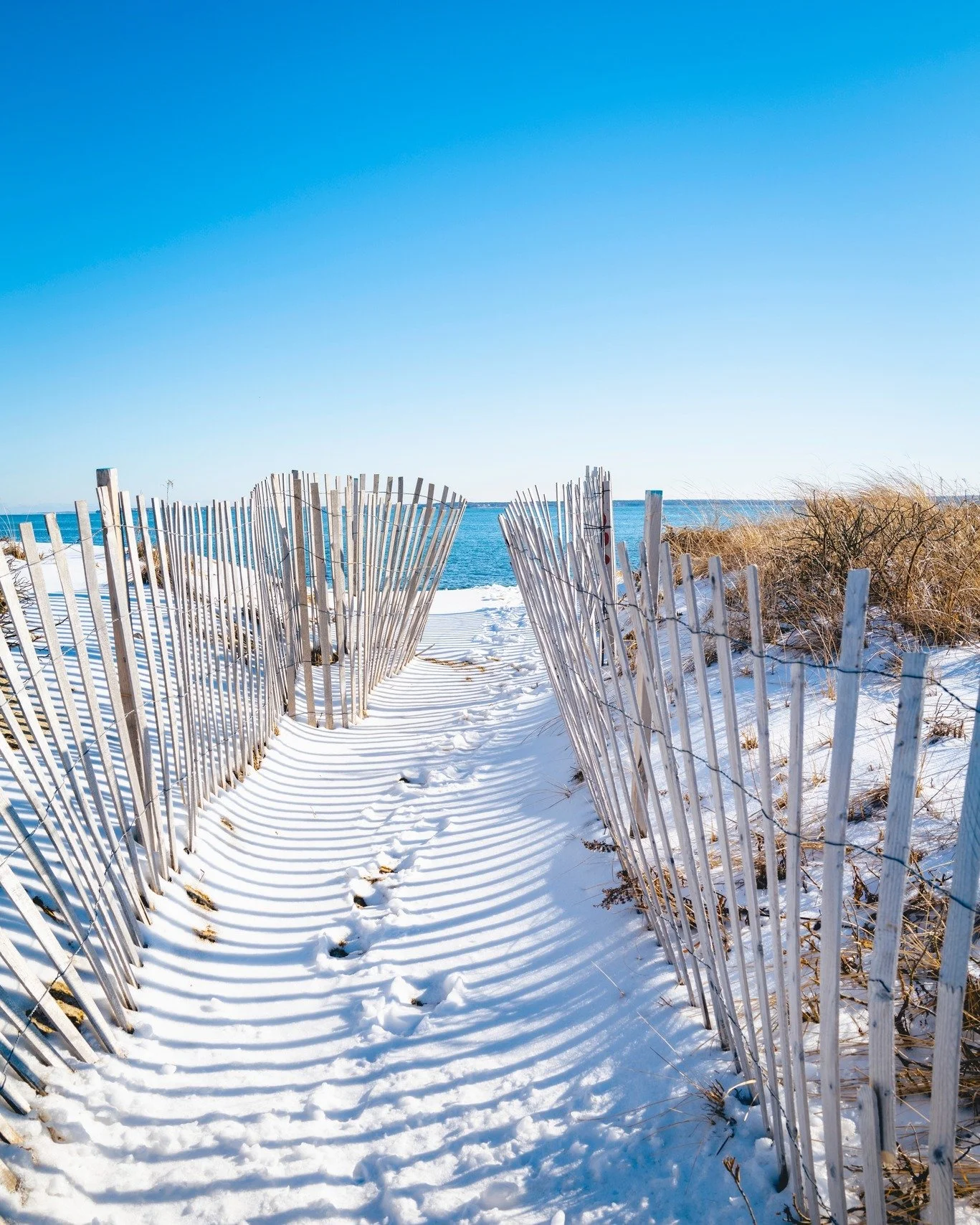 Happy New Year from all of us at Provincetown.com! ✨ Tell us your favorite #OuterCape memory from this year below! 

#Provincetoen #Truro #Wellfleet #CapeCod