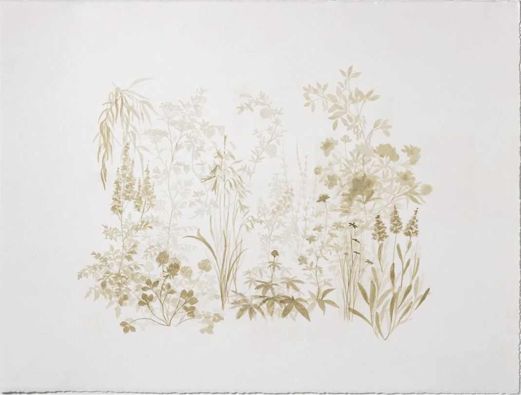 Alice Denison &amp; Jane Paradise at Alden Gallery