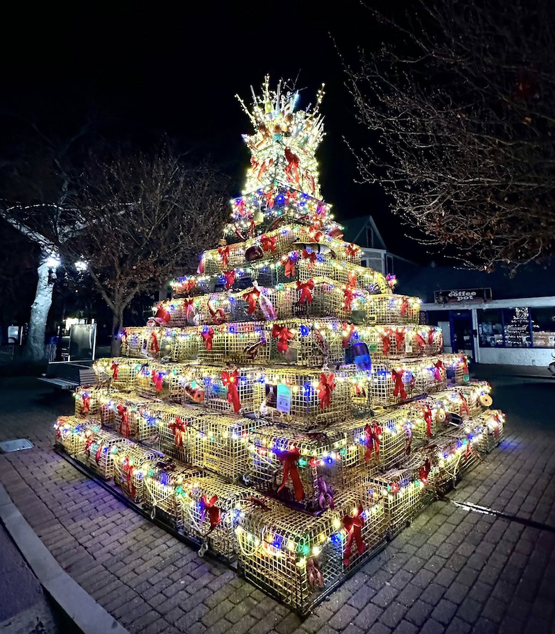 Lighting of the Lobster Pot Tree