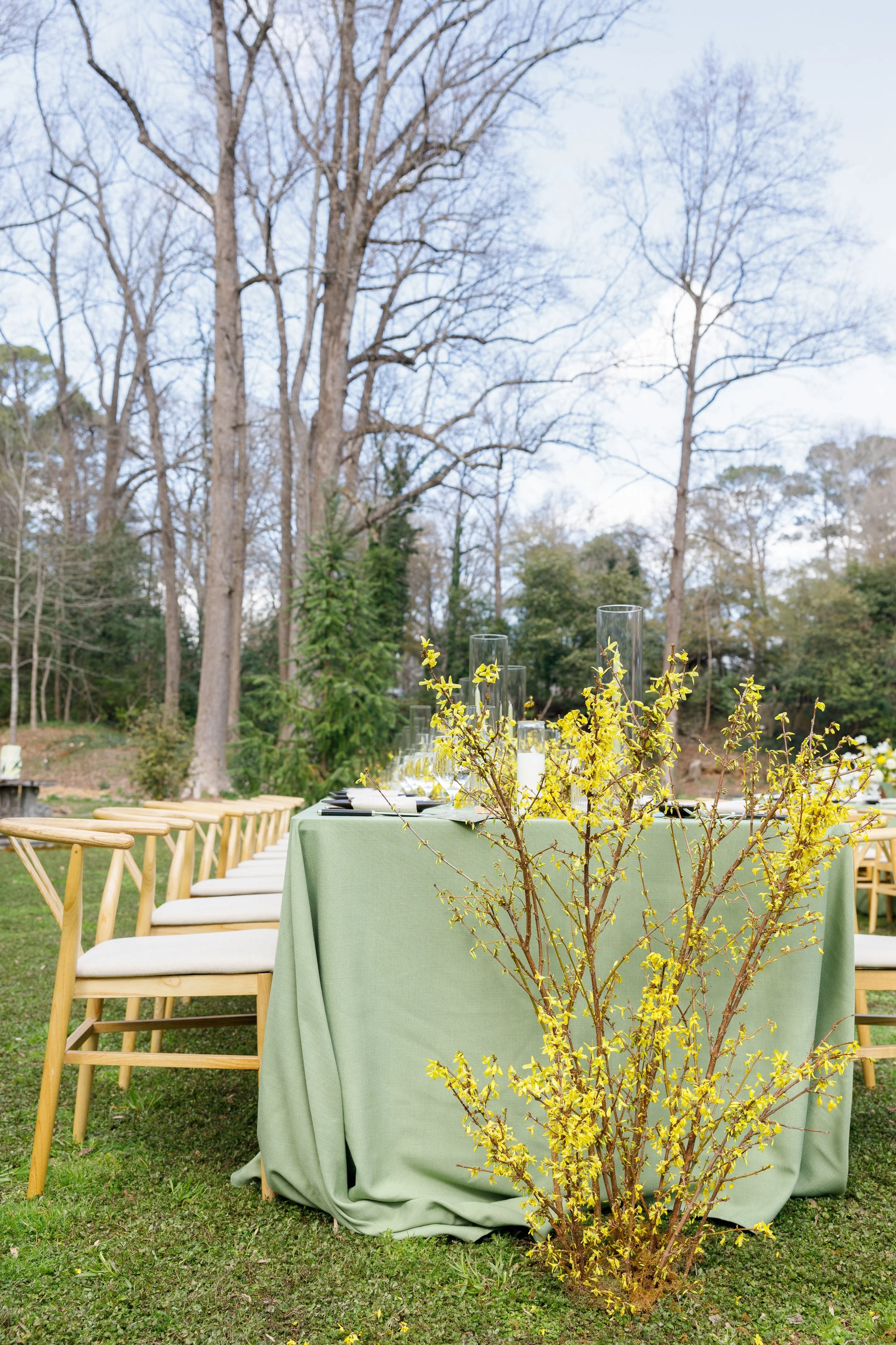 Outdoor dining table set on grass with a green tablecloth, tall glass vases, and candles, surrounded by wooden chairs, in a garden with bare trees and some greenery, under a cloudy sky.