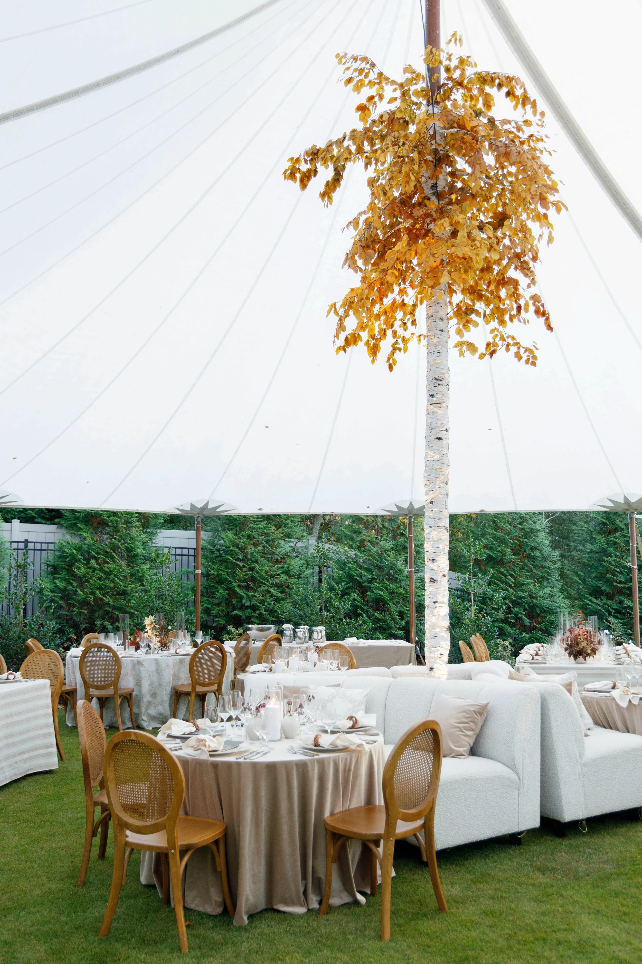 Outdoor event setup featuring a large white canopy tent with a faux tree with yellow autumn leaves in the center. Under the tent, there are round tables with beige tablecloths, decorated with glassware, napkins, and floral centerpieces. Surrounding the tables are wooden chairs, and the area is adjacent to lush green trees and shrubs.