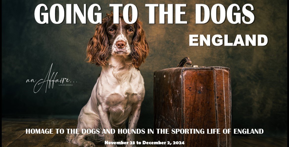England - Going to the Dogs