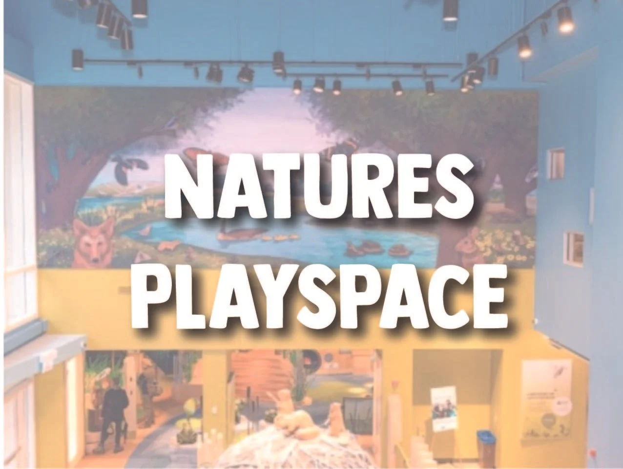 Natures Playspace