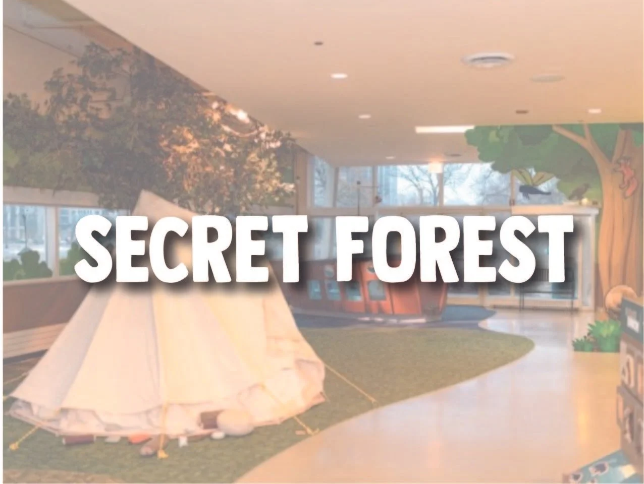 The Secret Forest