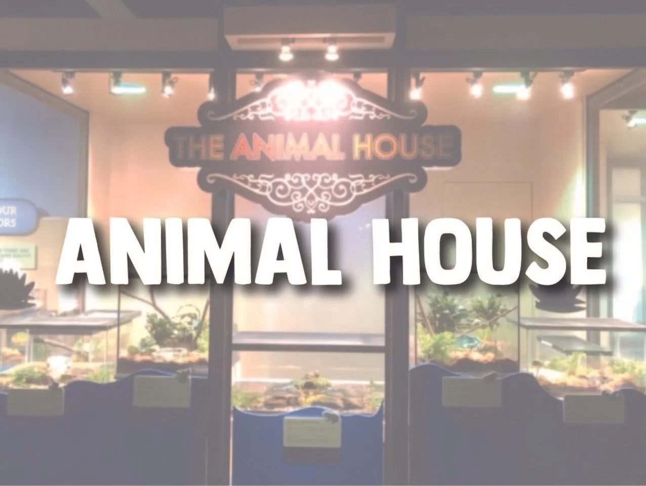 The Animal House