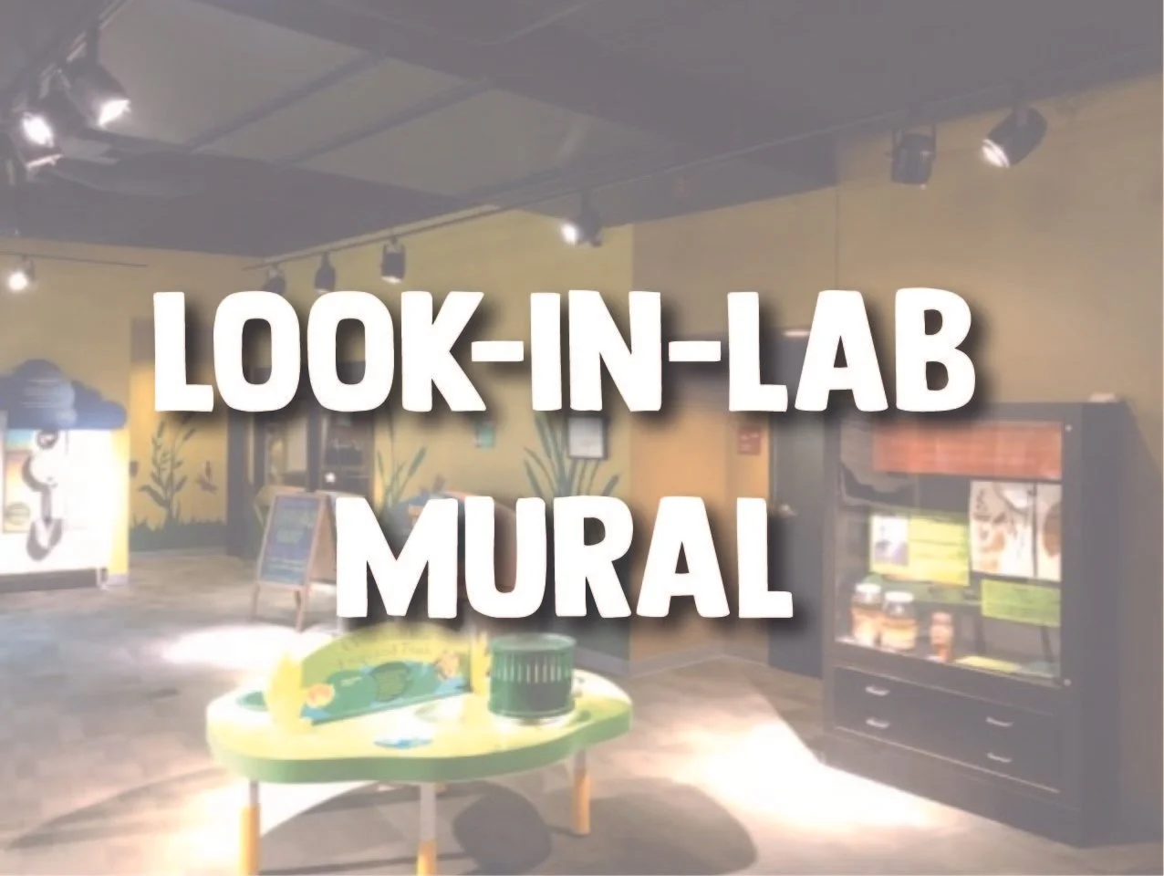 Look-In-Lab Mural
