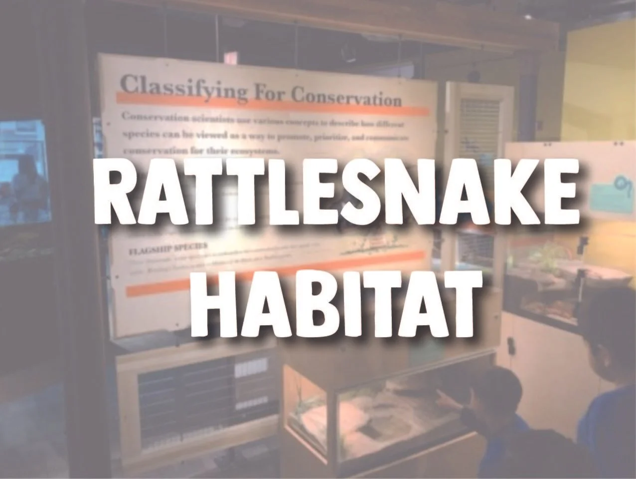 Rattlesnake Habitat