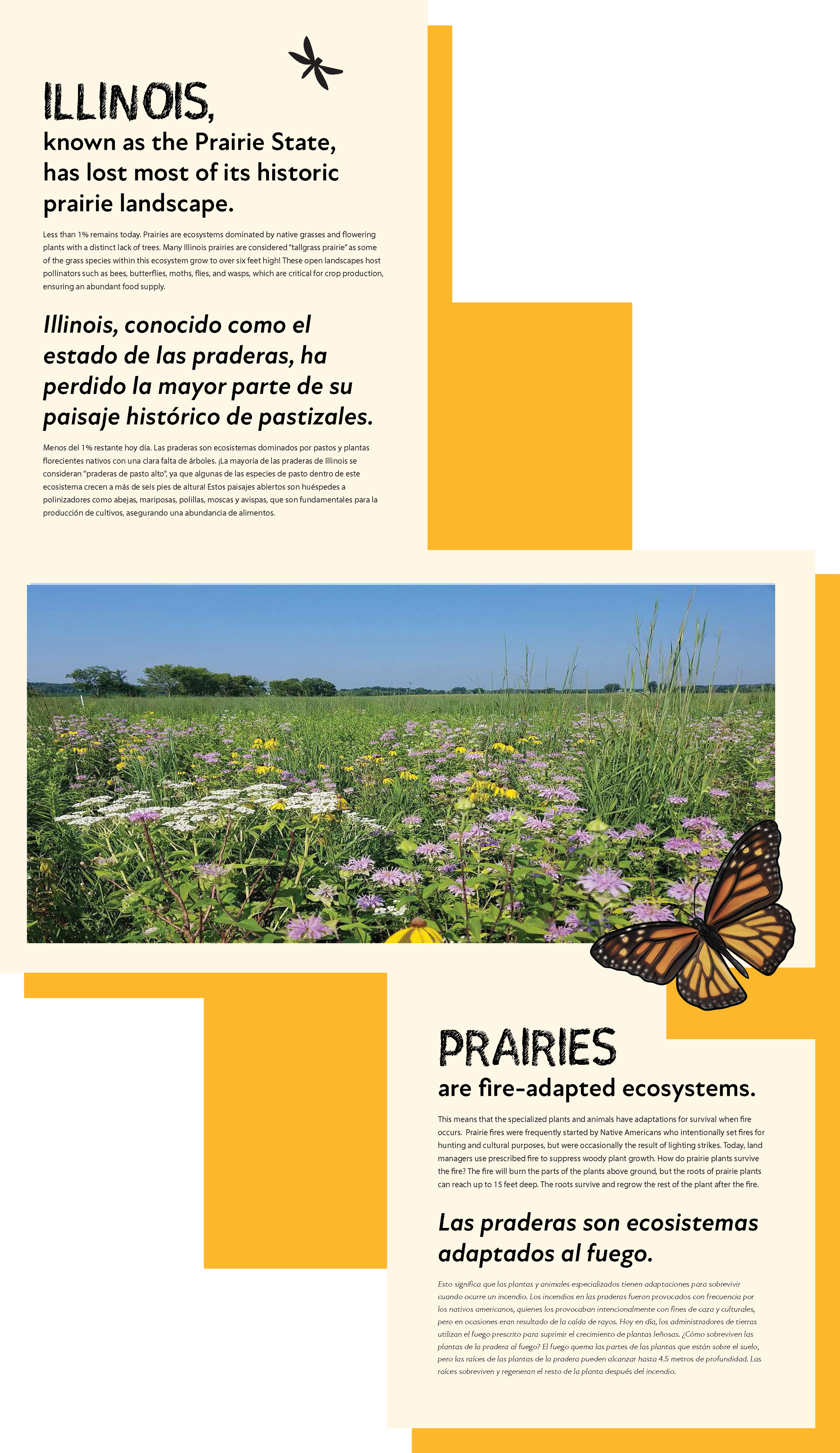 BATNR COLLECTIONS v5_Page_7.png