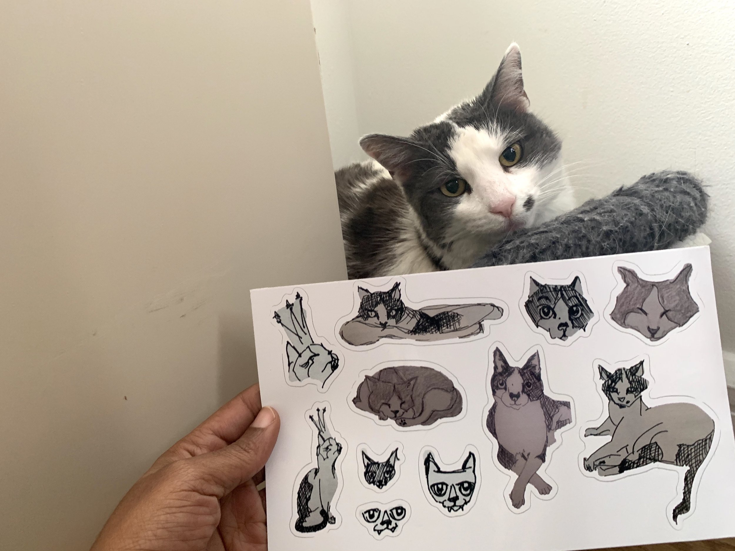kittystickers.nai.jpg