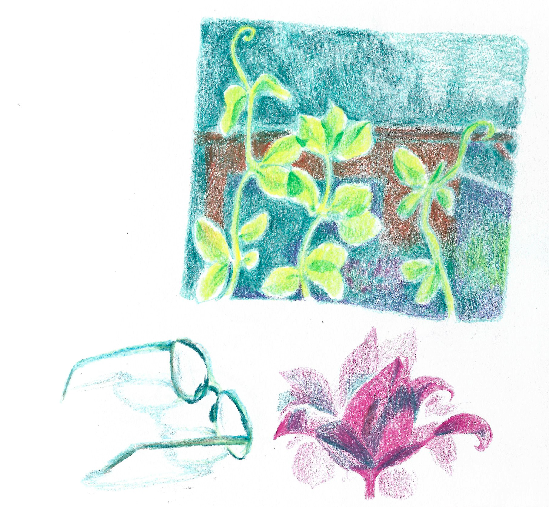 leaves in sun.png