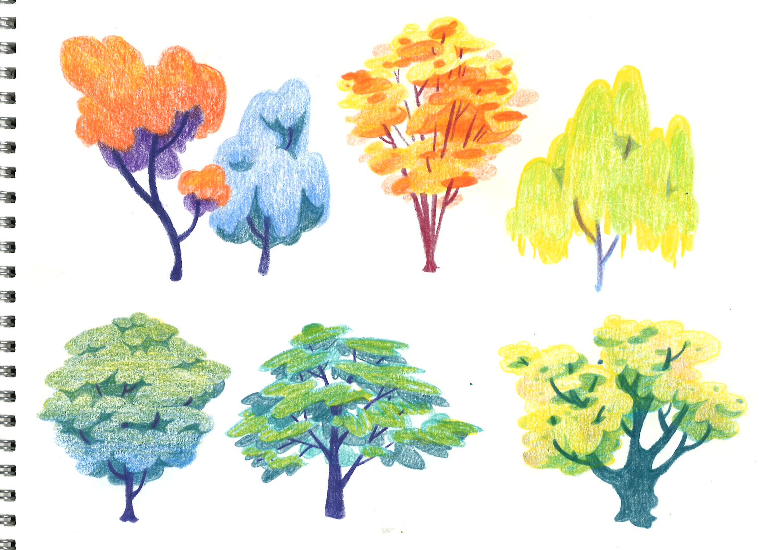 tree sketches comp.png