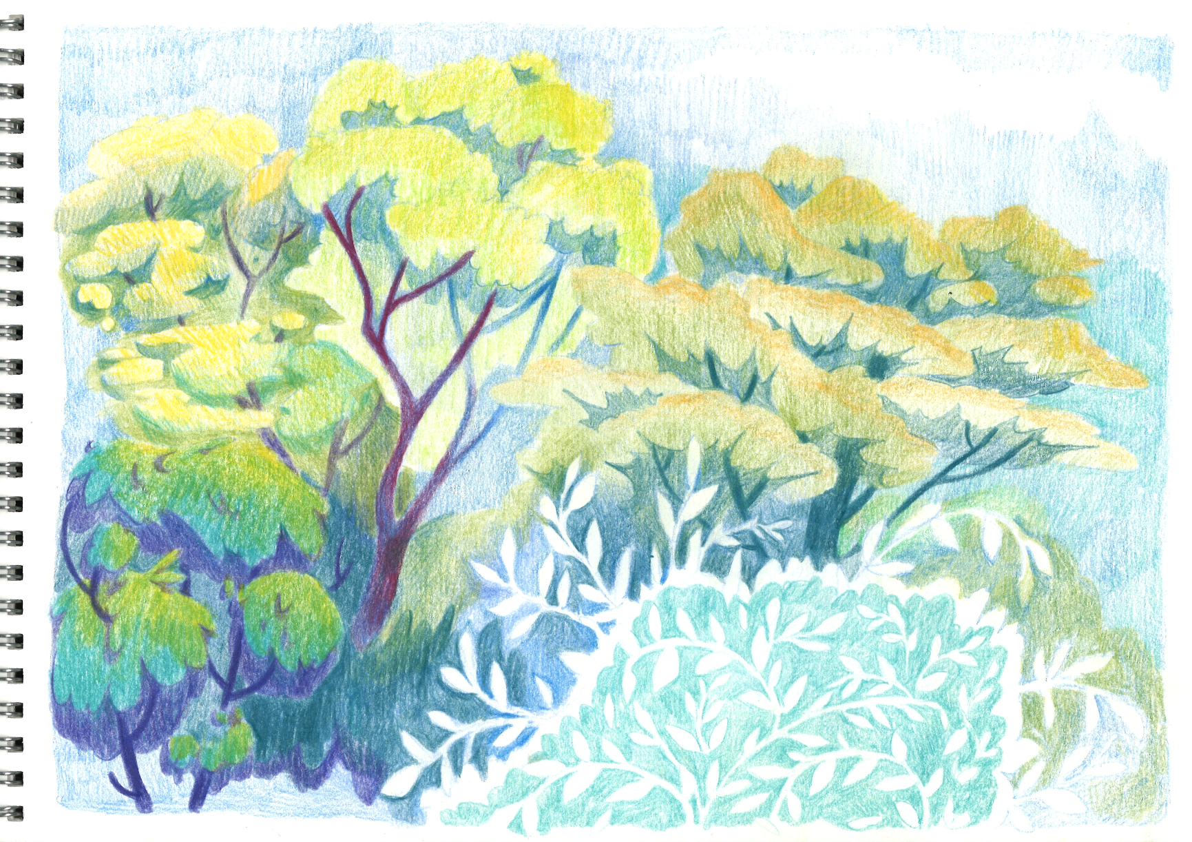forest sketch comp.png