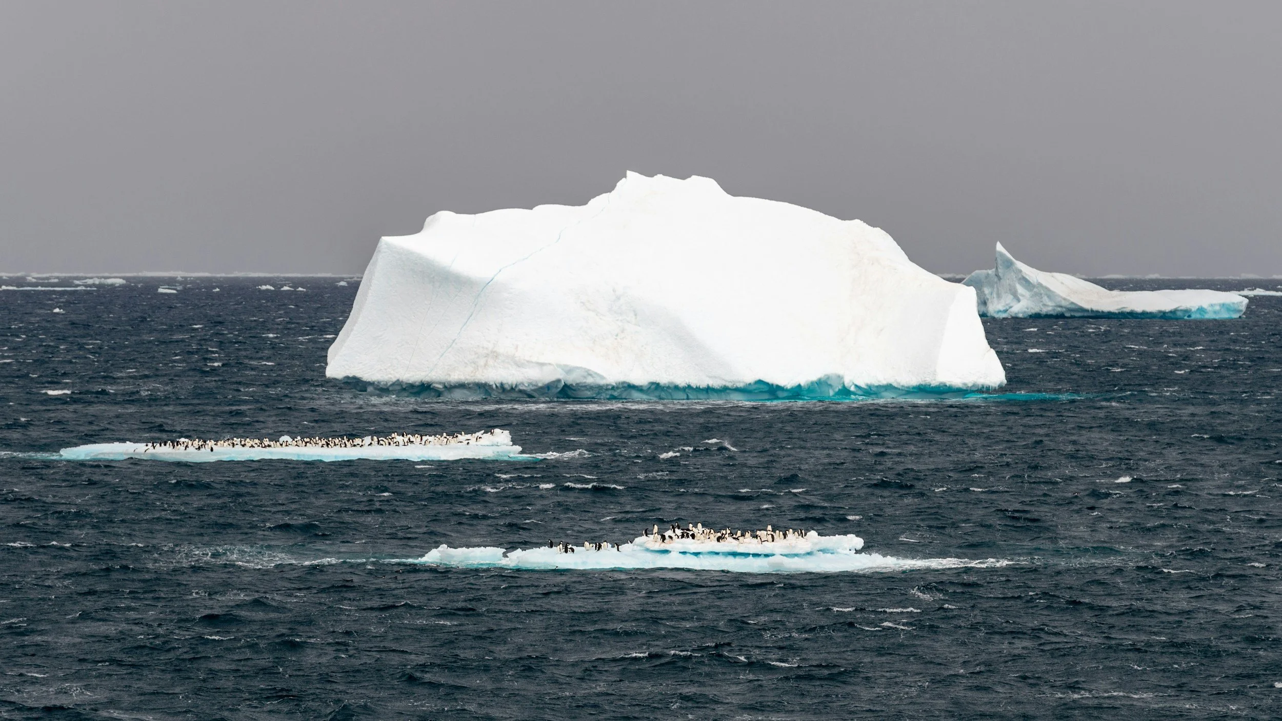 Icebreakers That Actually Work: Creating Engagement in Meetings That Matter