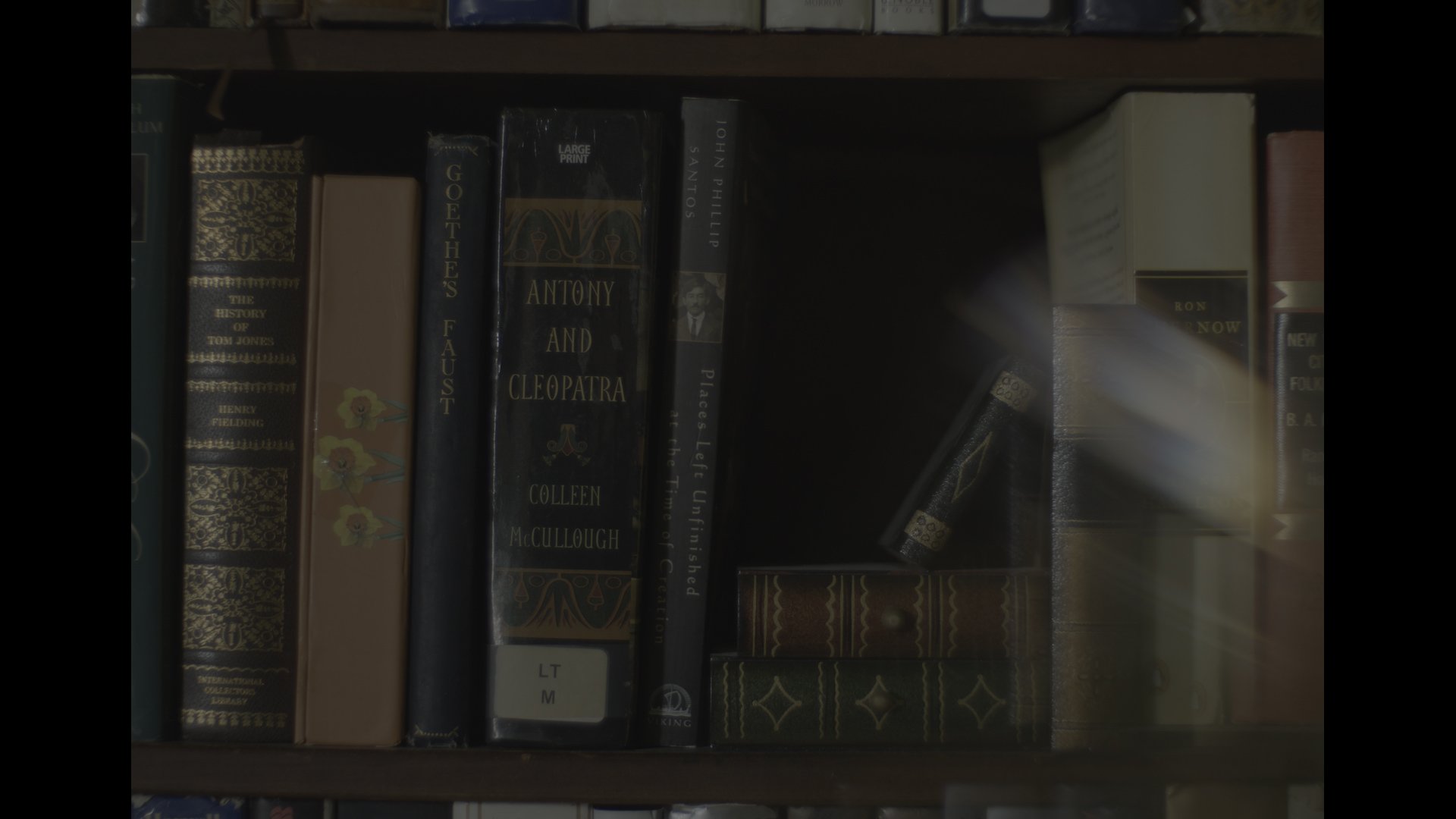 Books on Shelves.jpg