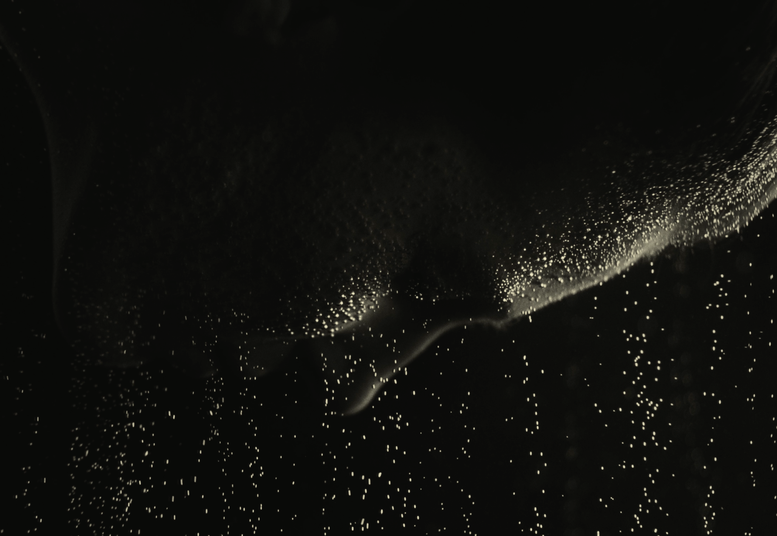 Screenshot+2026-08-15+at+11.12.40 AM.webp