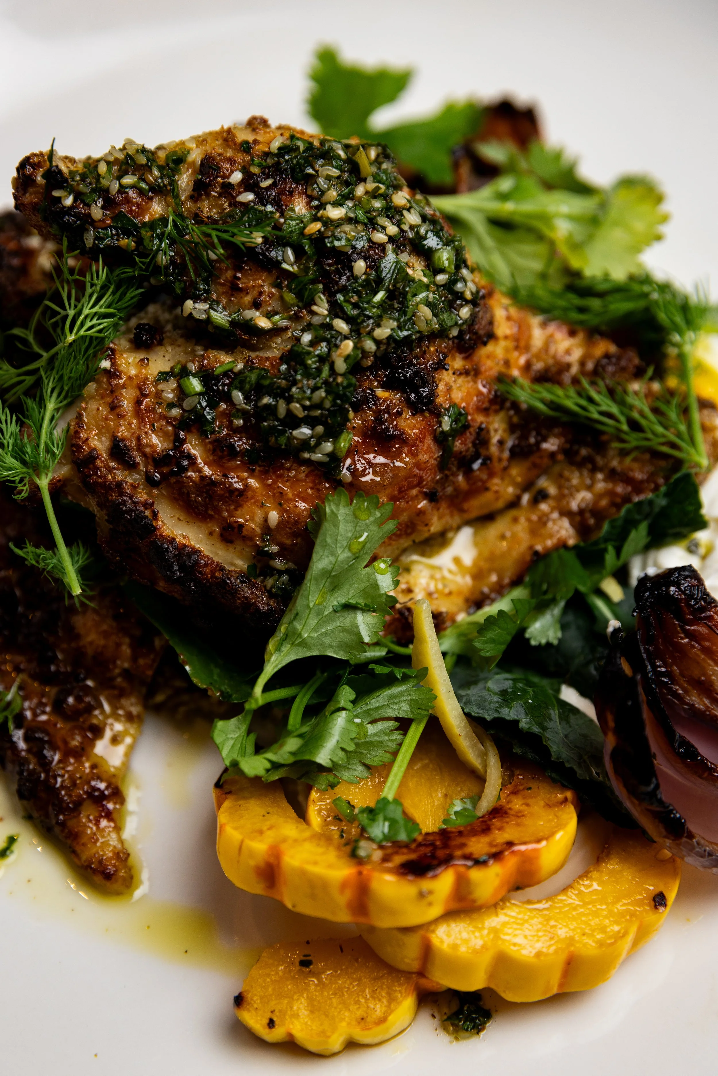 Close-up of grilled chicken garnished with herbs and topped with green sauce, accompanied by grilled yellow squash slices and fresh green herbs.