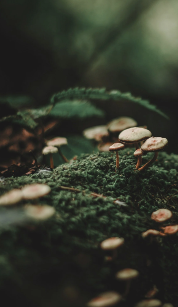 What I Ching Divination Taught Me About Parenting Teens