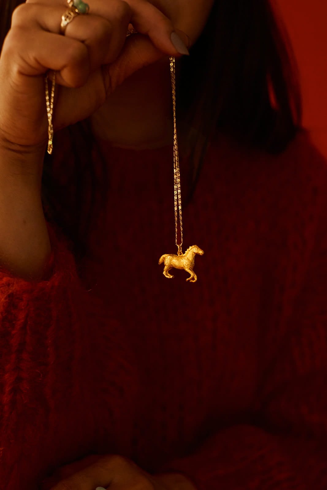 year of the horse 2026 predictions.jpg