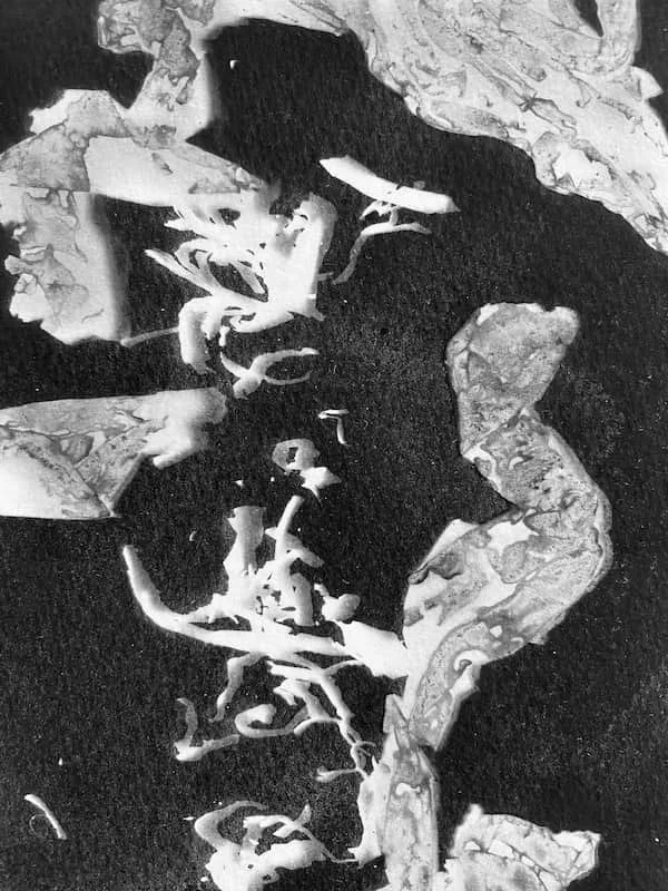 Abstract black and white pattern with irregular shapes and textures