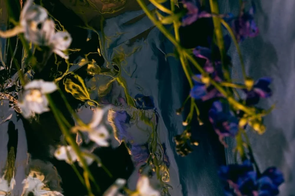 A colorful array of flowers in shades of purple, white, and yellow reflected in water.
