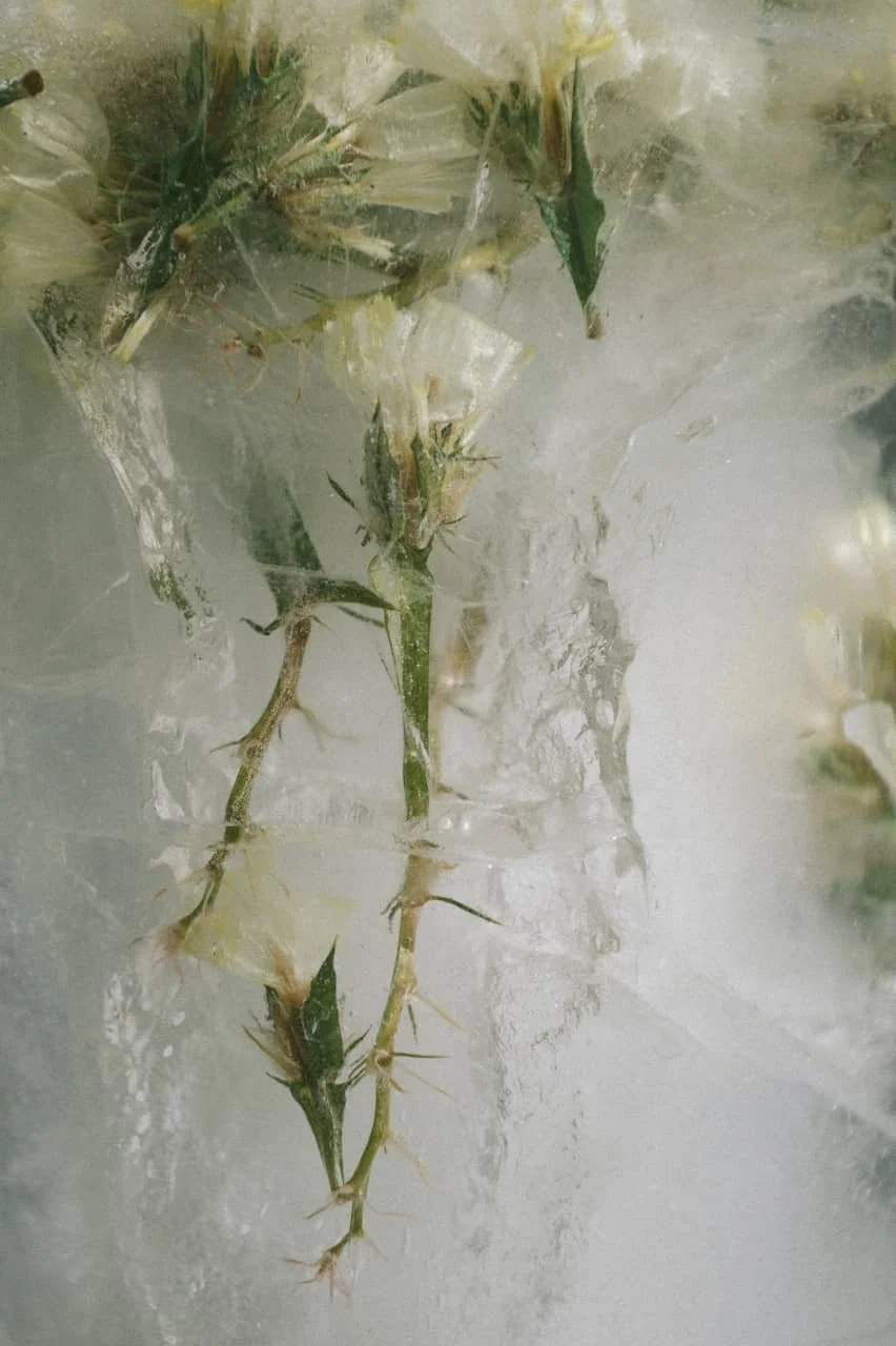 witchcraft rituals and hexes