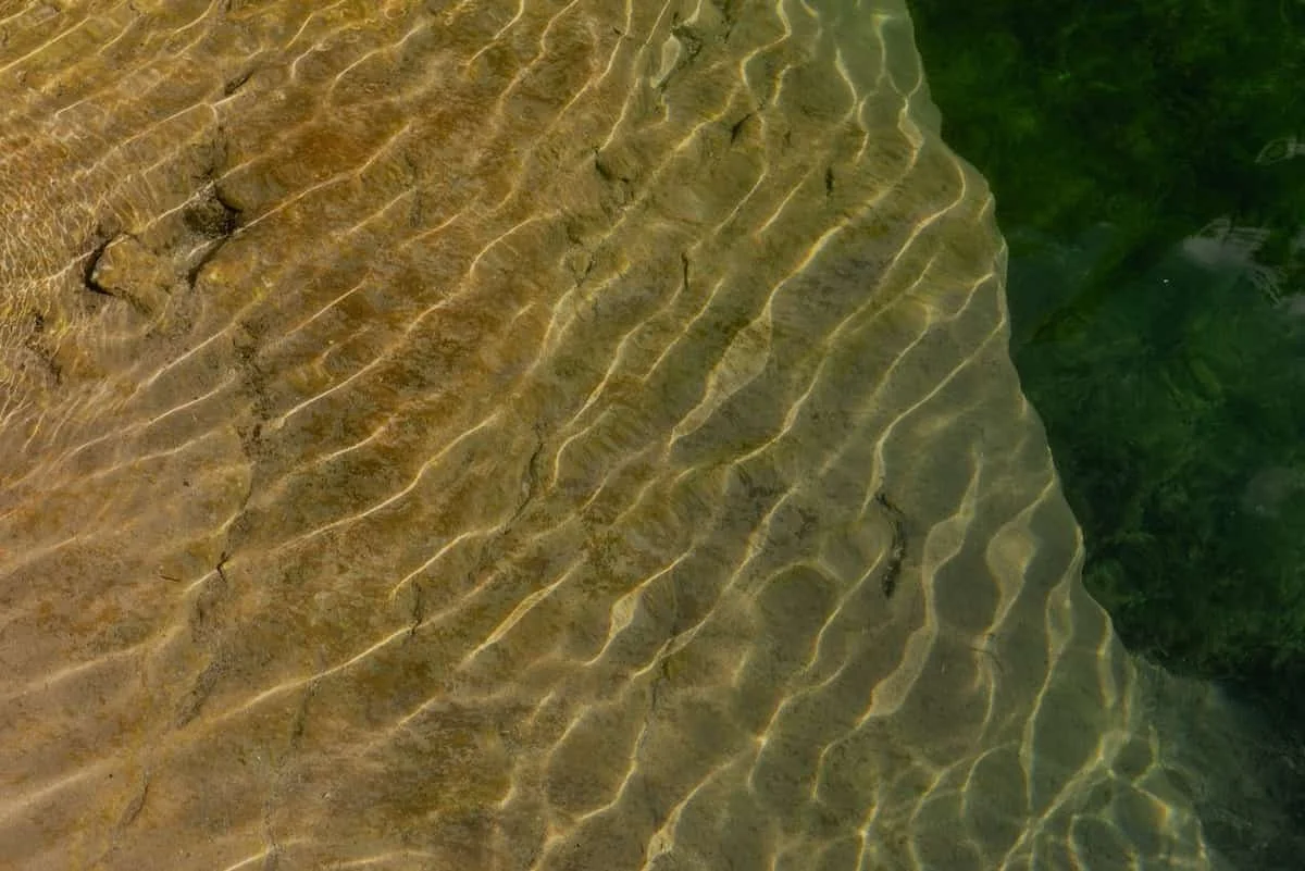 astrology chinese calculator