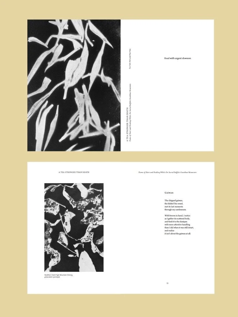 Black and white photographs of tea leaves and shattered glass with poetic text about resilience and mindfulness.