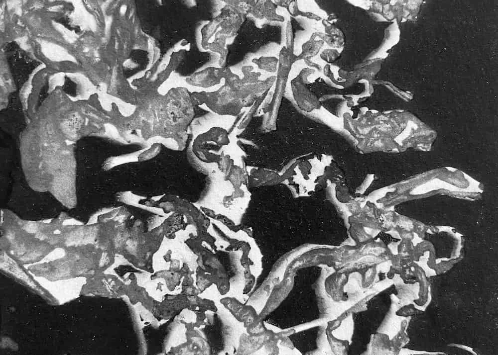 A TEA STRONGER THAN DEATH - A Book of Tea Poems and Cyanotypes