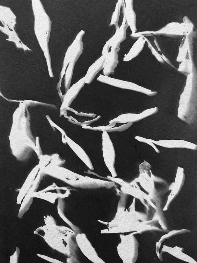 Black and white abstract image with scattered, torn paper pieces on a dark background.