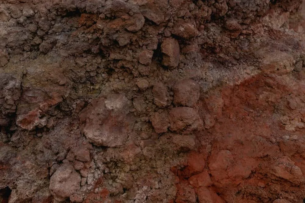 five elements chinese and psychic medium reading near me