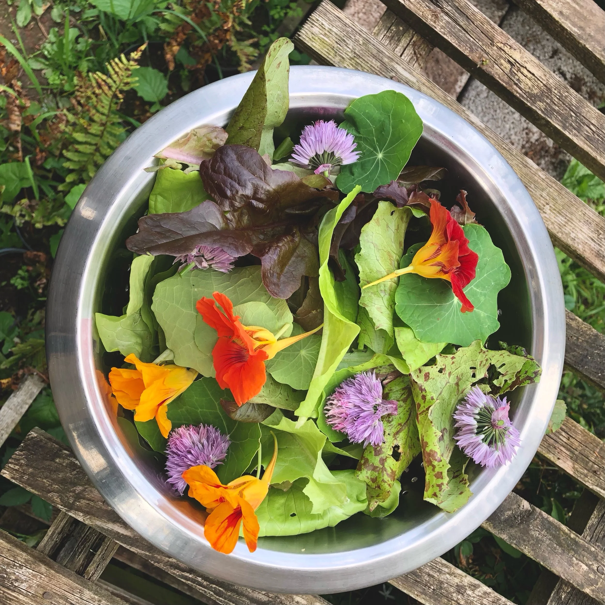 IMG_5341.jpeg (Copy)