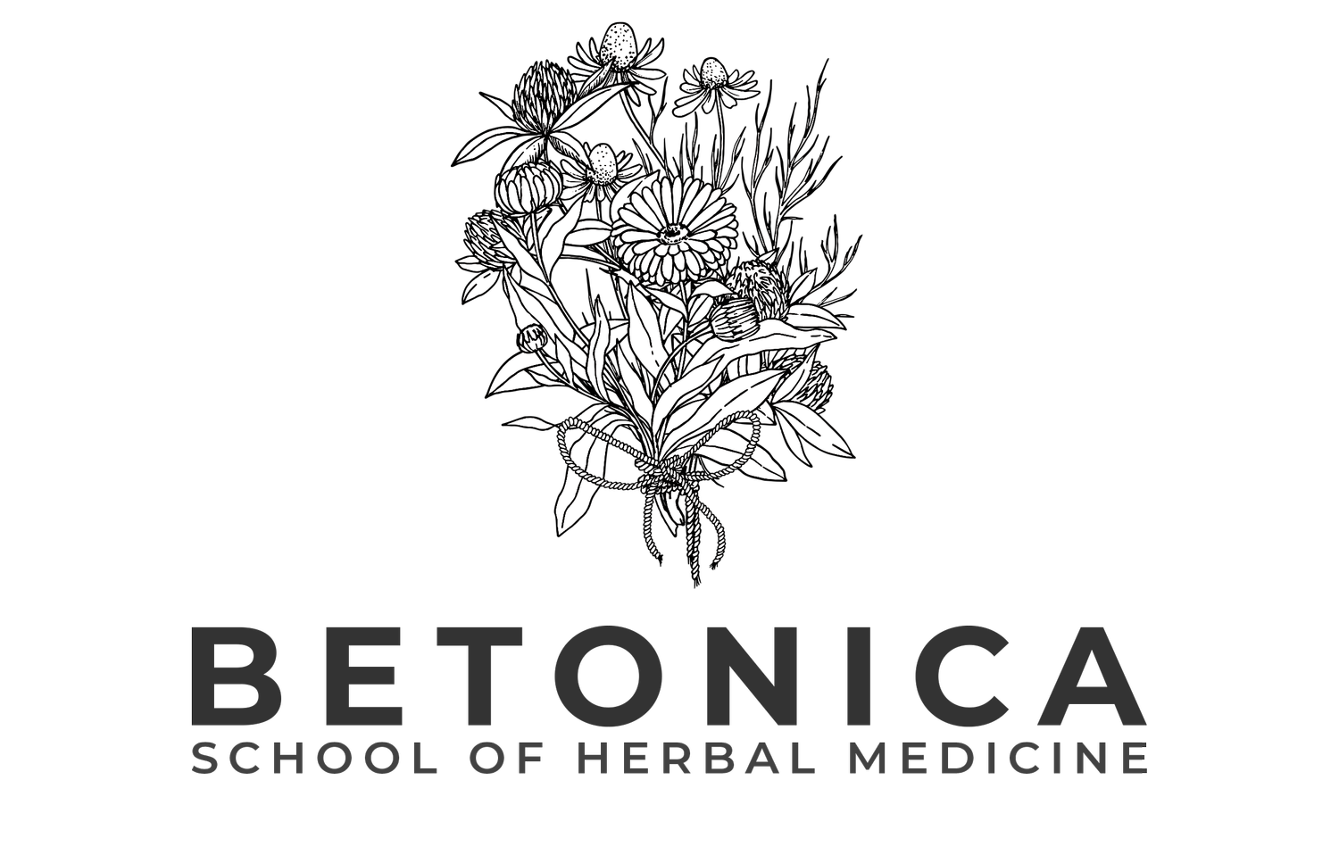 Betonica Seminar Lunch - Sat 7th March (Staff & Students)