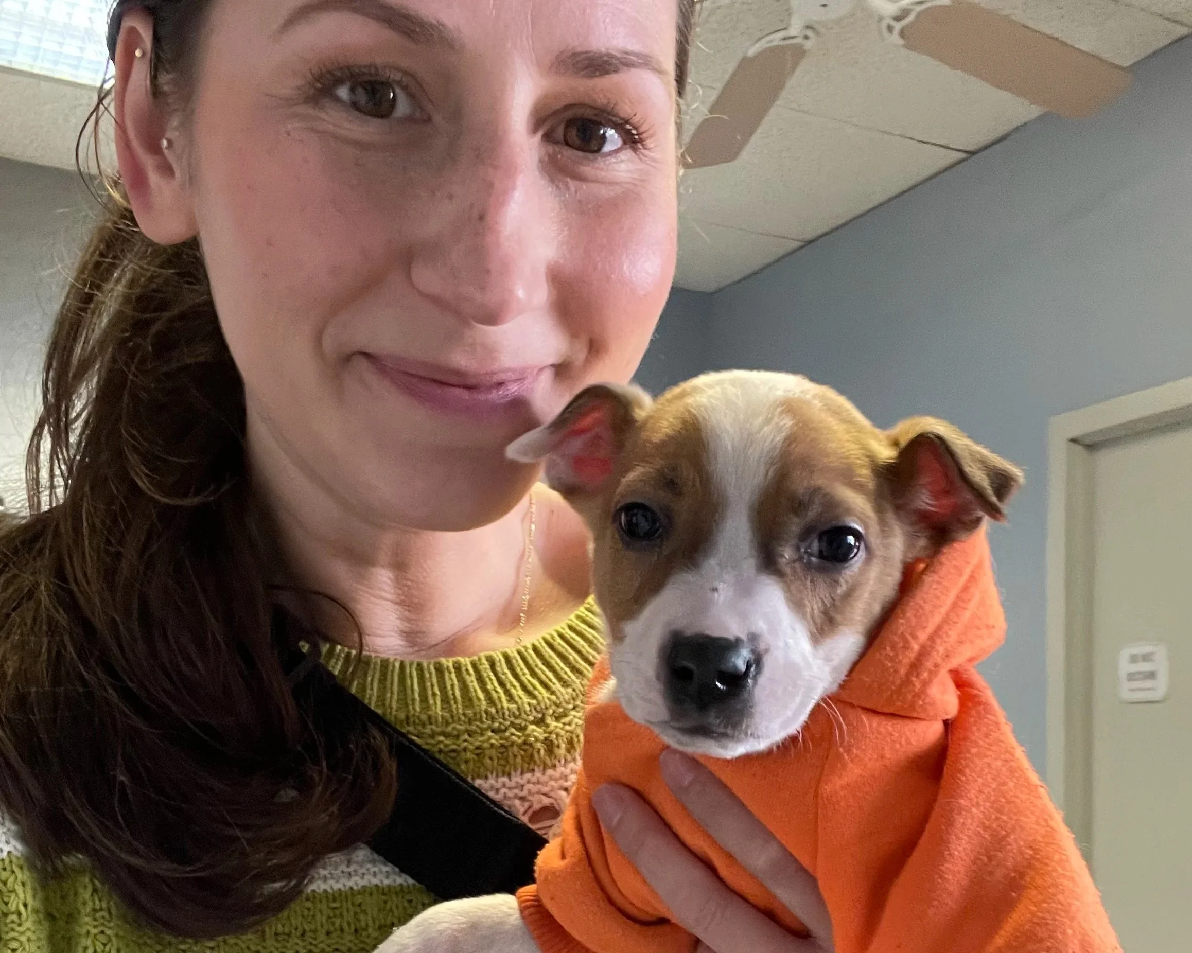 Small Biz Sat - Adoption Event