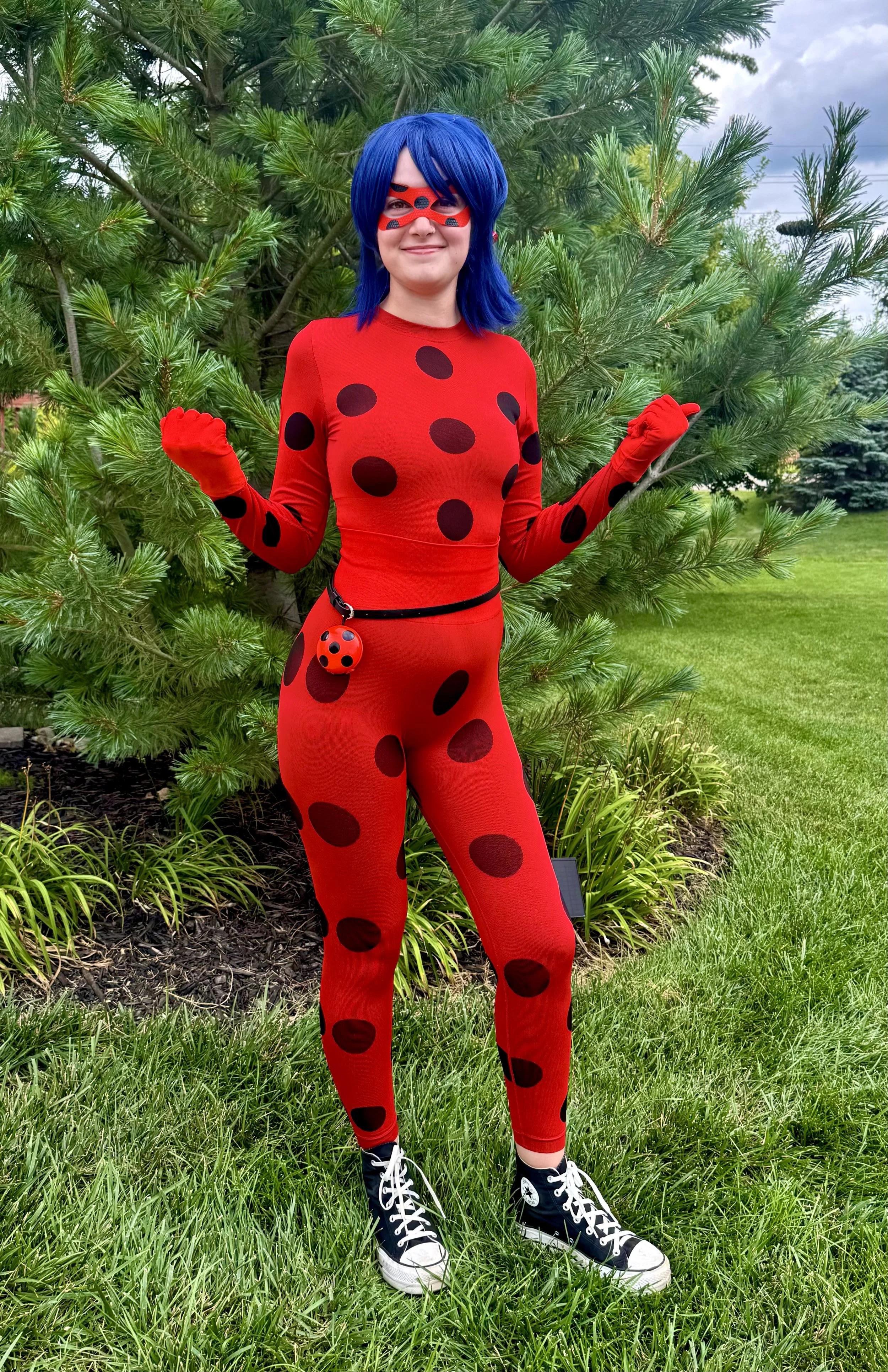 Lady Bug Hero